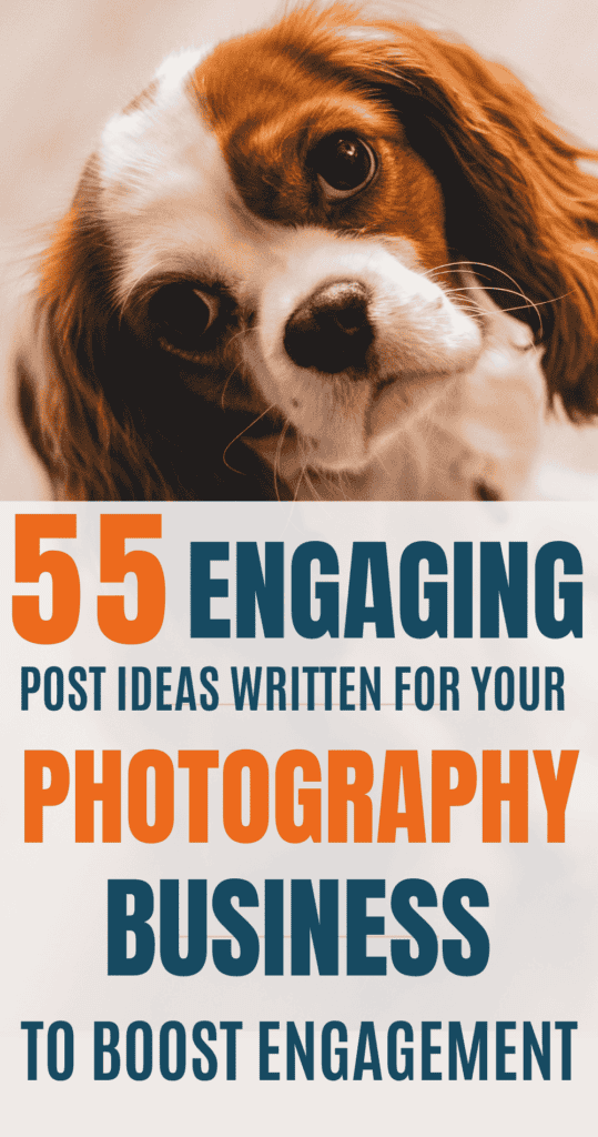 A picture of a dog looking into a camera with the text overlay that reads 55 engaging post ideas written for your photography business. 