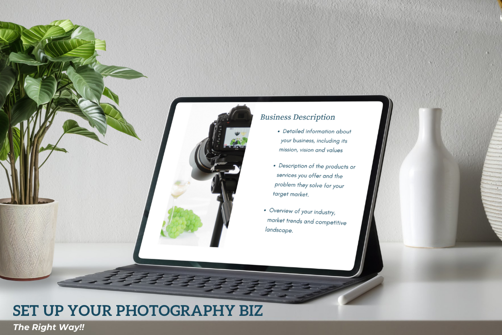 A laptop on a desk with a plant to the left.