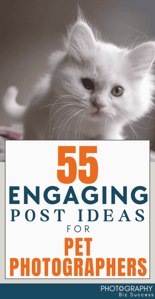 A kitten looking direct into the camera with a text overlay that reads 55 engaging post ideas for pet photographers
