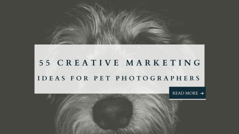 Blog graphic with close-up of a dog’s nose and fur, text overlay reads “55 Creative Marketing Ideas for Pet Photographers.”