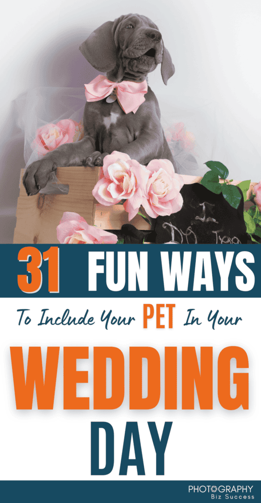 A grey dog wearing a pink bow in a box surrounded with pink roses and foliage. The text overlay reads 31 fun ways to include your pet in your wedding day. 