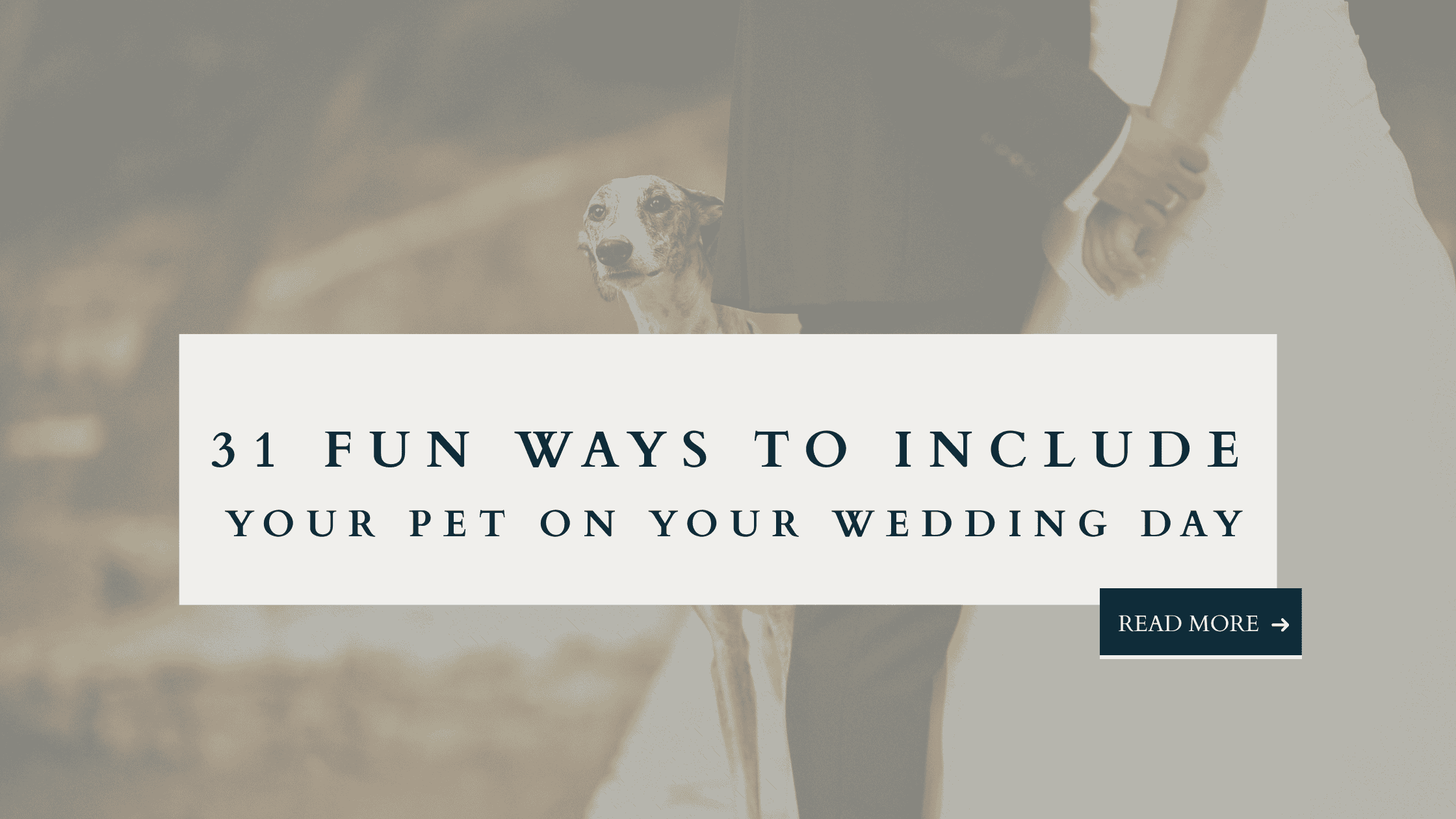 Bride and groom holding hands with their dog on their wedding day – 31 fun ways to include pets in your wedding.